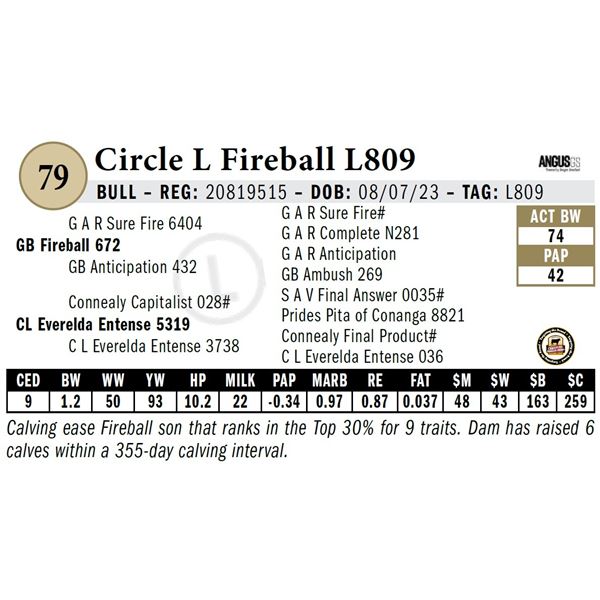 Circle L Fireball L809