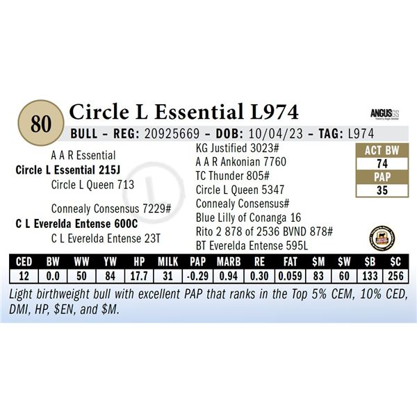 Circle L Essential L974