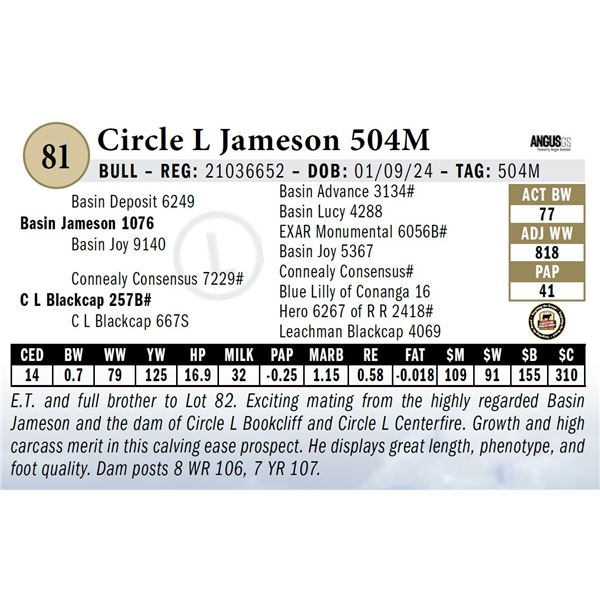 Circle L Jameson 504M