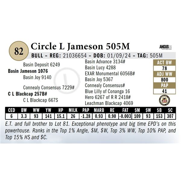 Circle L Jameson 505M