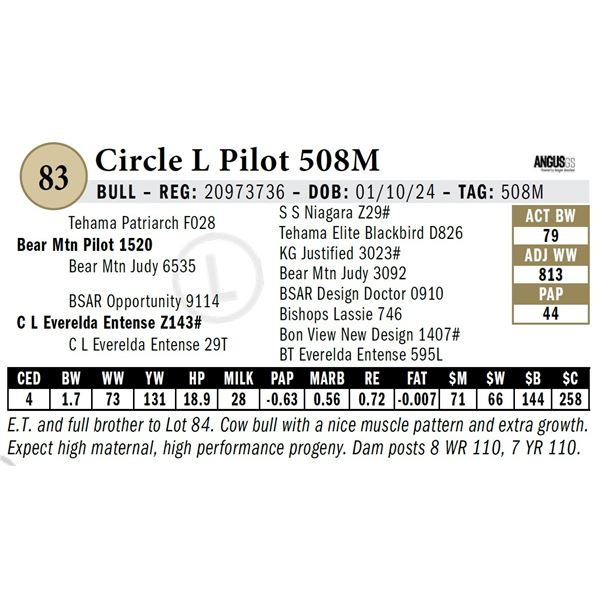 Circle L Pilot 508M