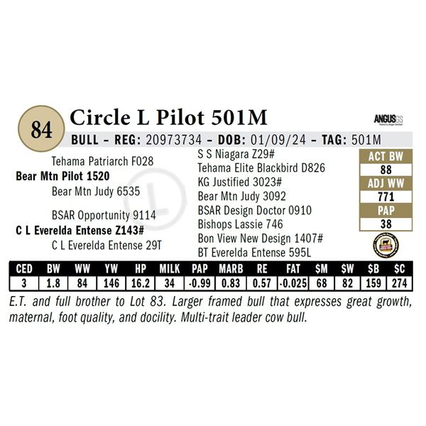 Circle L Pilot 501M