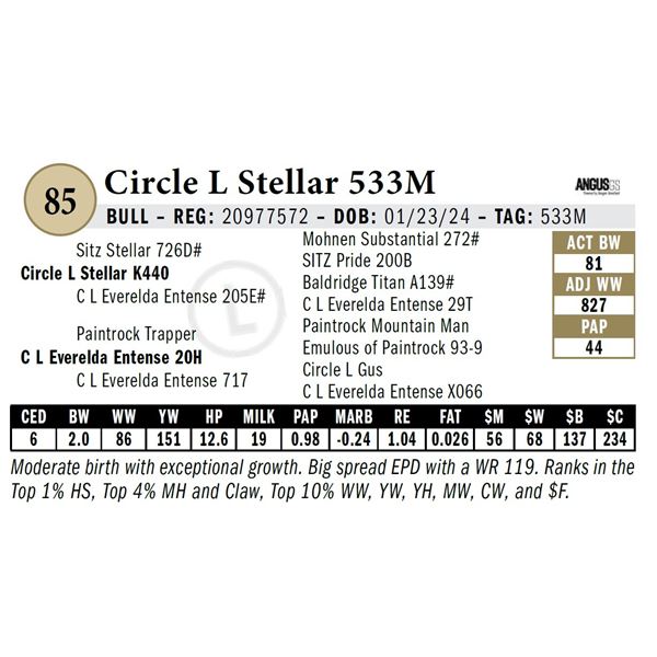 Circle L Stellar 533M