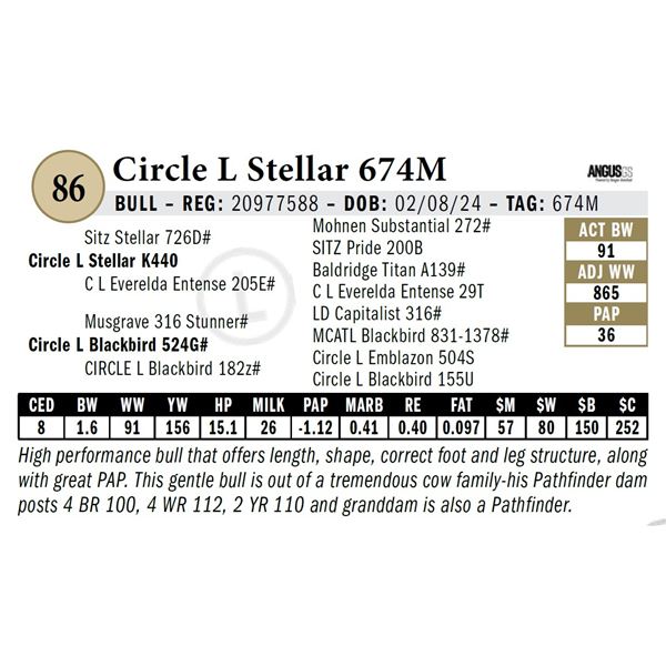 Circle L Stellar 674M