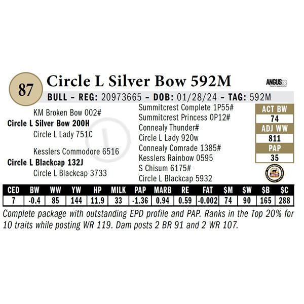 Circle L Silver Bow 592M