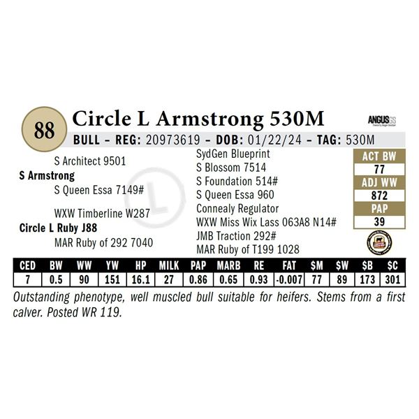 Circle L Armstrong 530M
