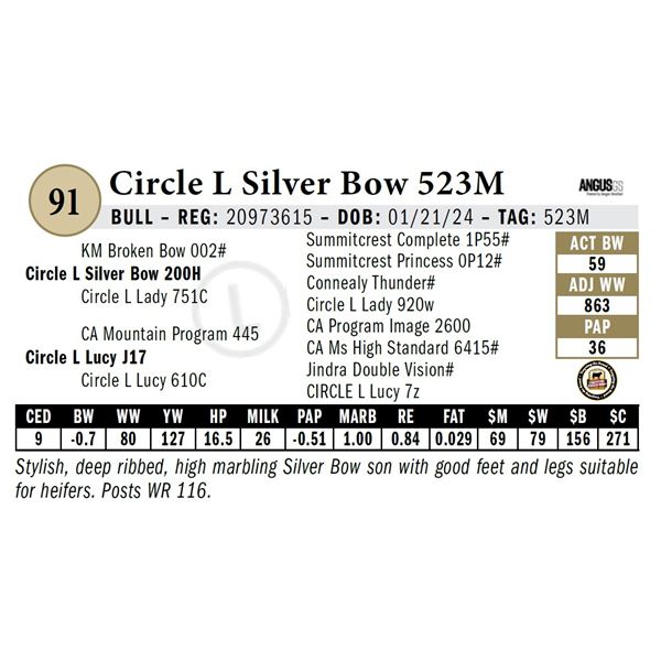 Circle L Silver Bow 523M