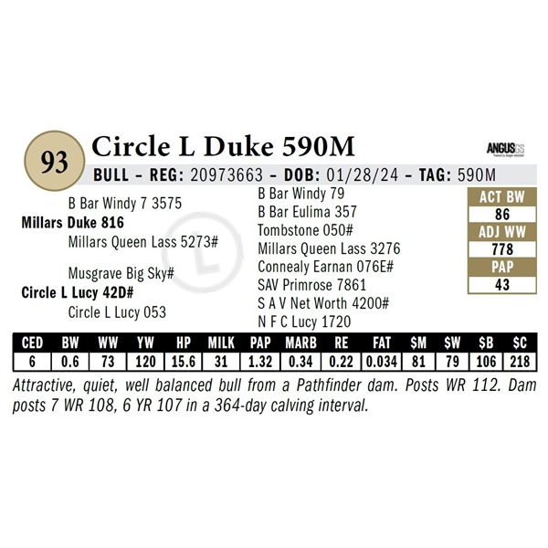 Circle L Duke 590M