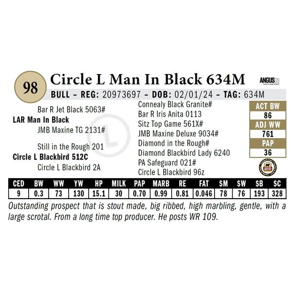 Circle L Man In Black 634M