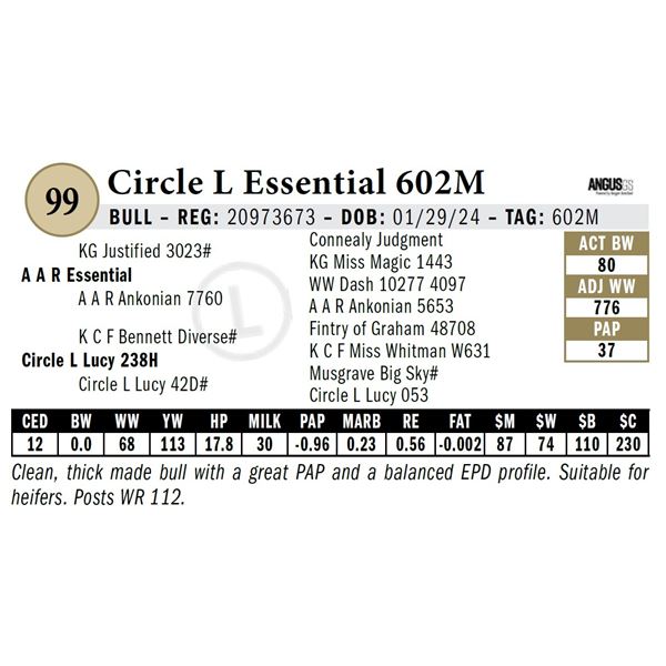 Circle L Essential 602M