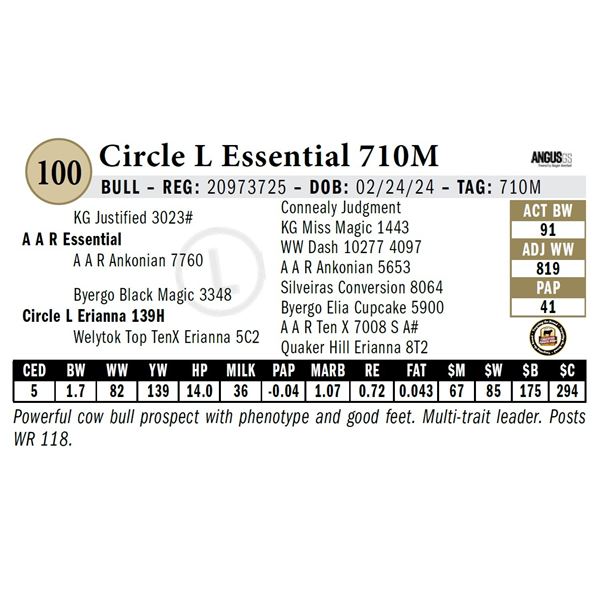 Circle L Essential 710M