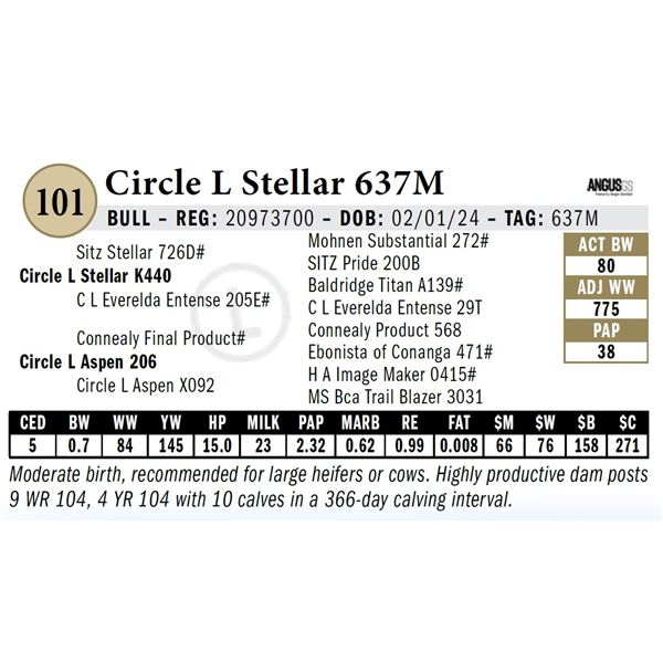 Circle L Stellar 637M