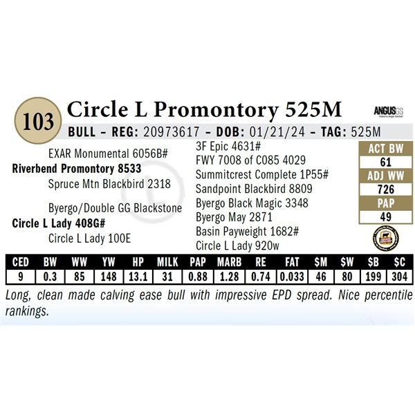 Circle L Promontory 525M