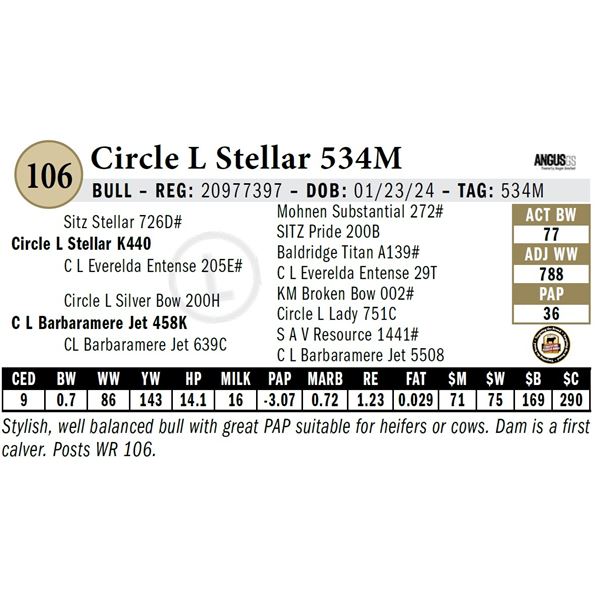 Circle L Stellar 534M