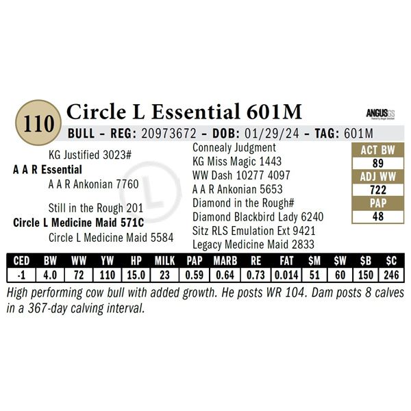 Circle L Essential 601M