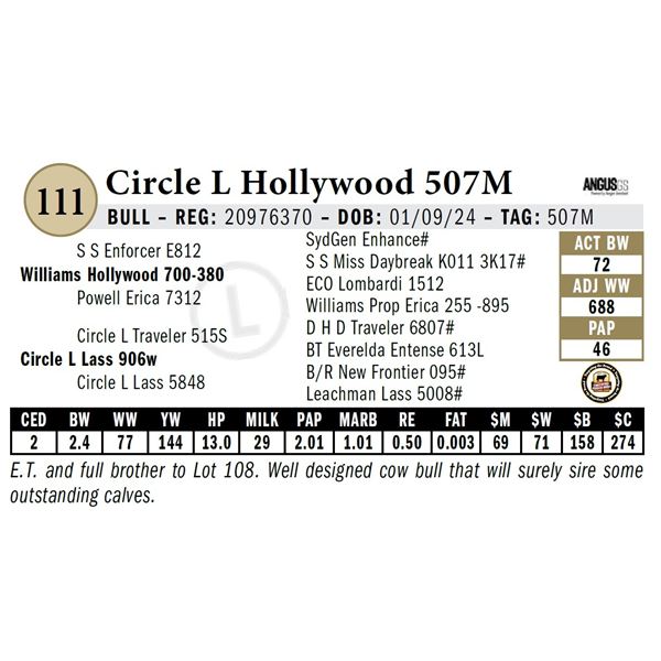 Circle L Hollywood 507M