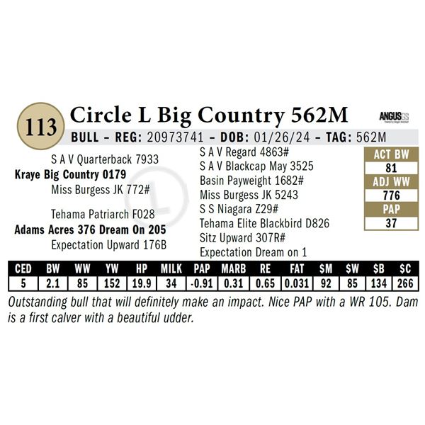 Circle L Big Country 562M