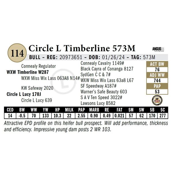 Circle L Timberline 573M