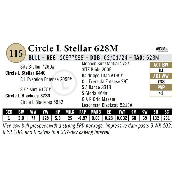 Circle L Stellar 628M