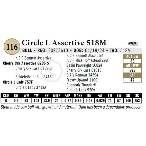 Circle L Assertive 518M