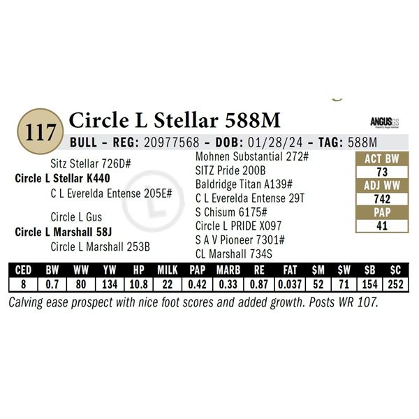 Circle L Stellar 588M