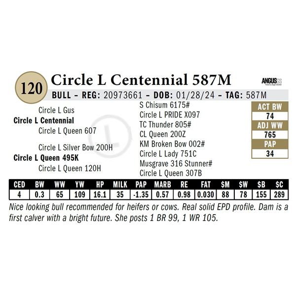 Circle L Centennial 587M