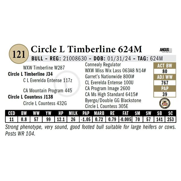 Circle L Timberline 624M