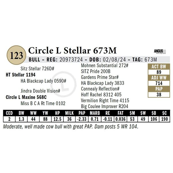 Circle L Stellar 673M