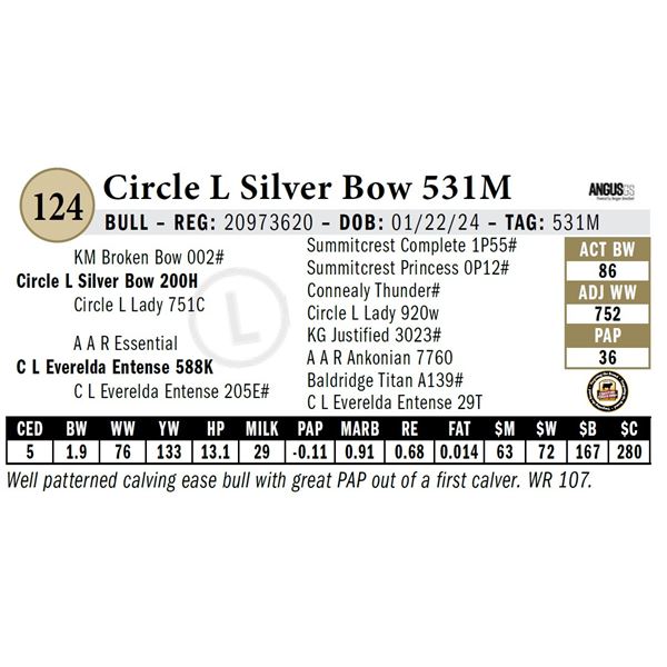 Circle L Silver Bow 531M
