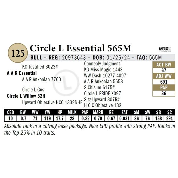 Circle L Essential 565M