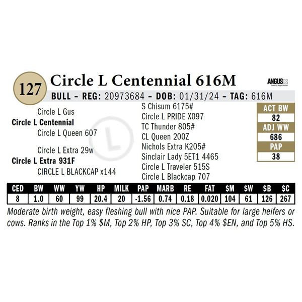 Circle L Centennial 616M