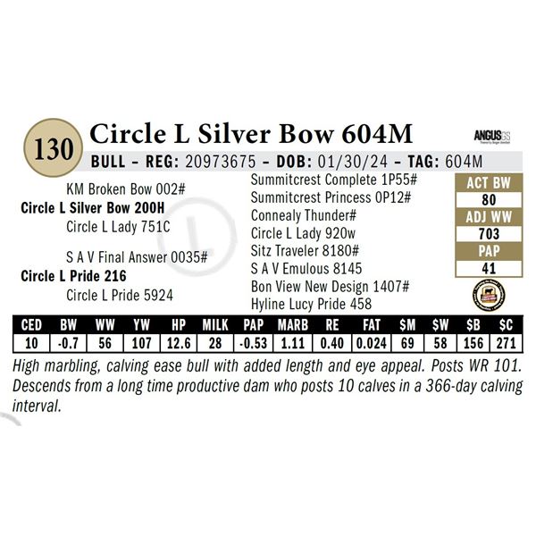 Circle L Silver Bow 604M