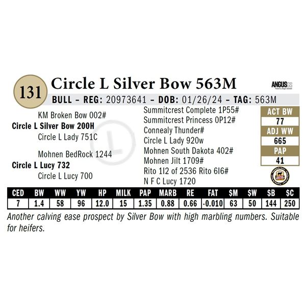 Circle L Silver Bow 563M