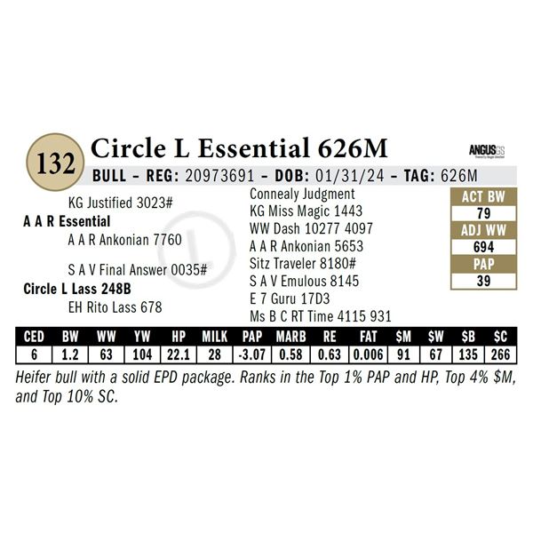 Circle L Essential 626M