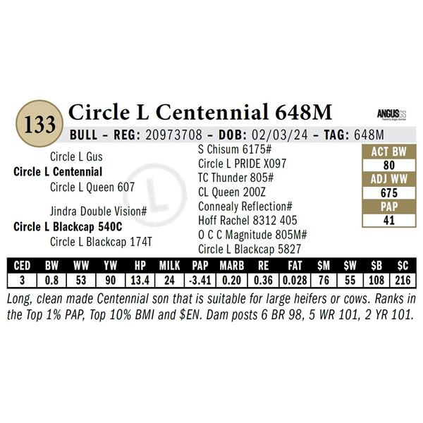 Circle L Centennial 648M