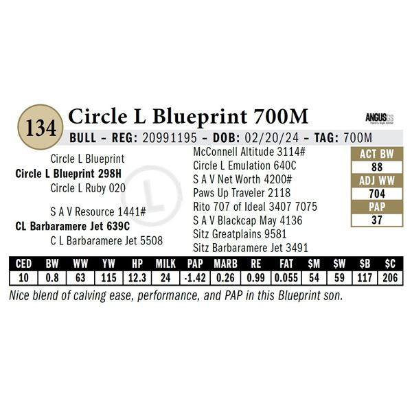 Circle L Blueprint 700M