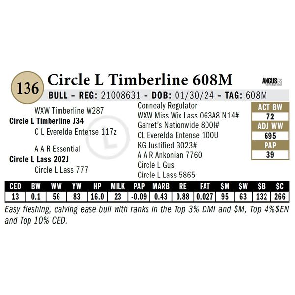 Circle L Timberline 608M
