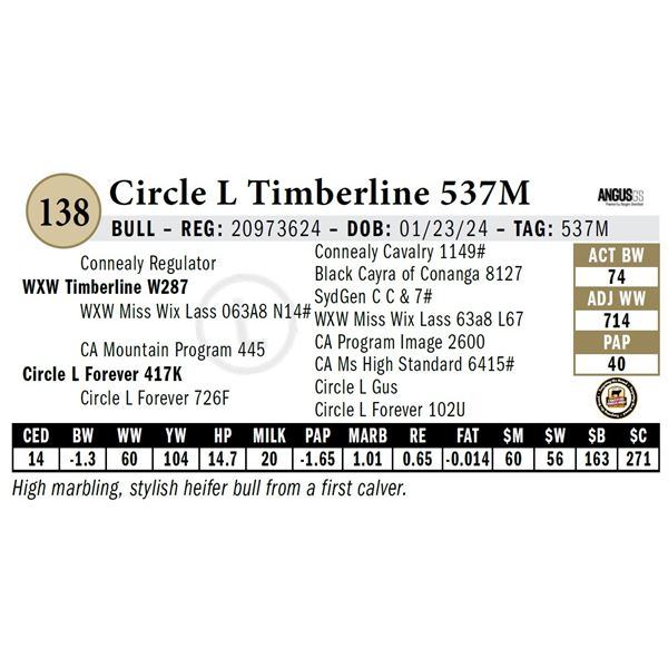 Circle L Timberline 537M