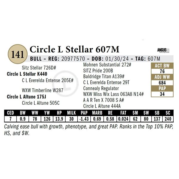 Circle L Stellar 607M