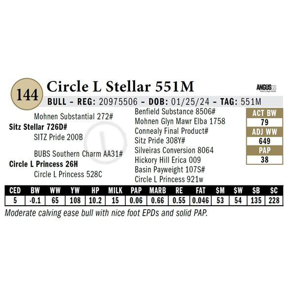 Circle L Stellar 551M