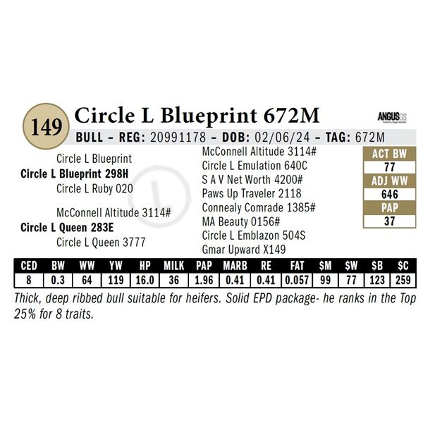 Circle L Blueprint 672M