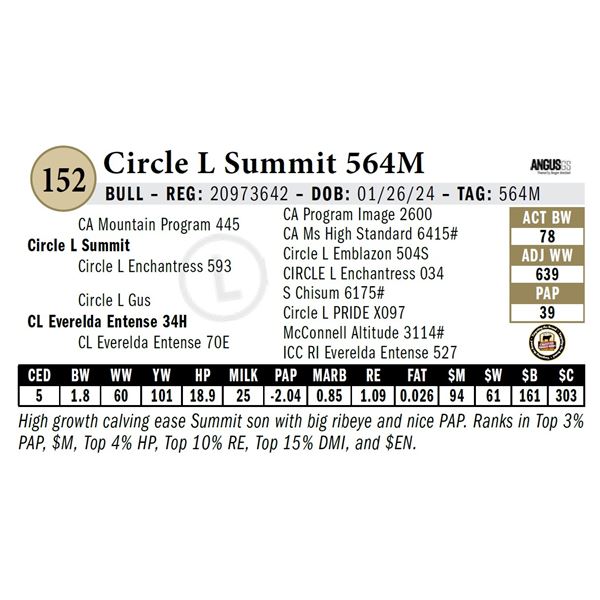 Circle L Summit 564M
