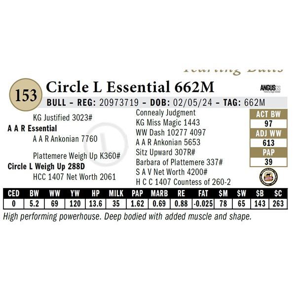 Circle L Essential 662M