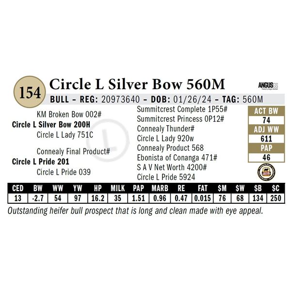 Circle L Silver Bow 560M