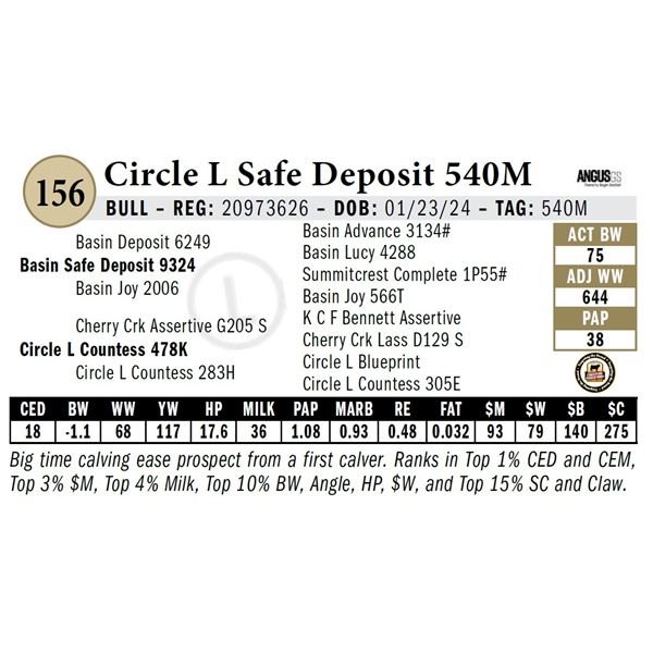 Circle L Safe Deposit 540M