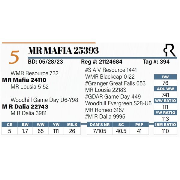MR Mafia 25393