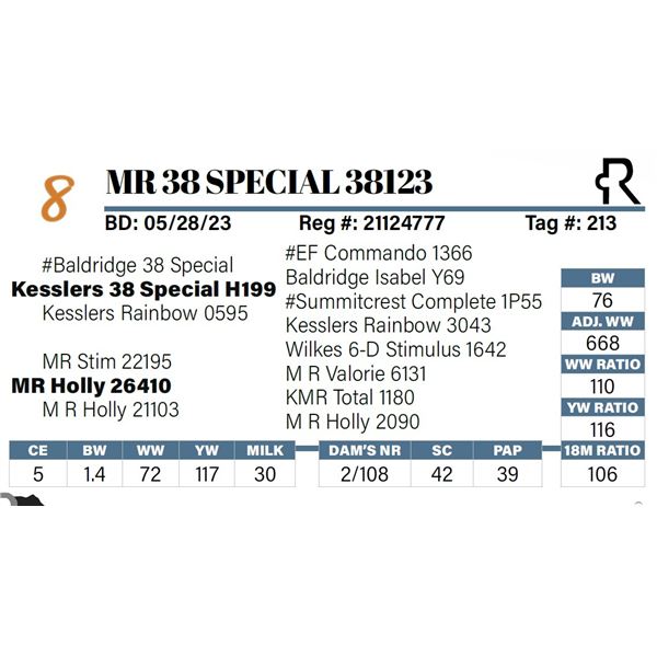 MR 38 Special 38123