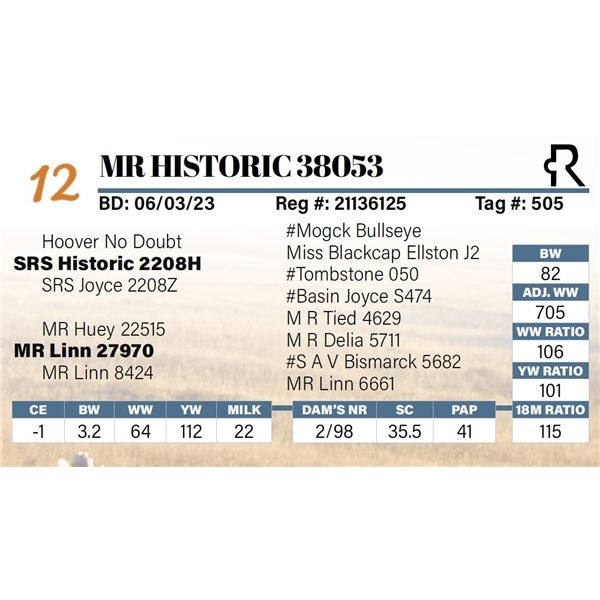 MR Historic 38053