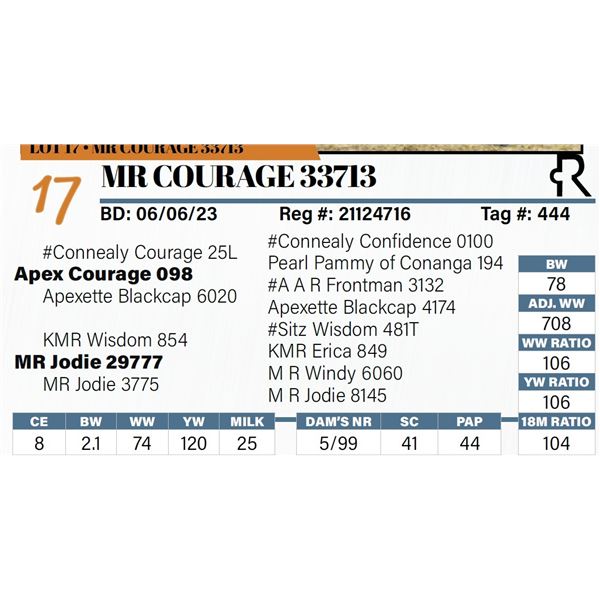 MR Courage 33713