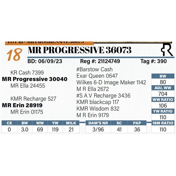 MR Progressive 36073